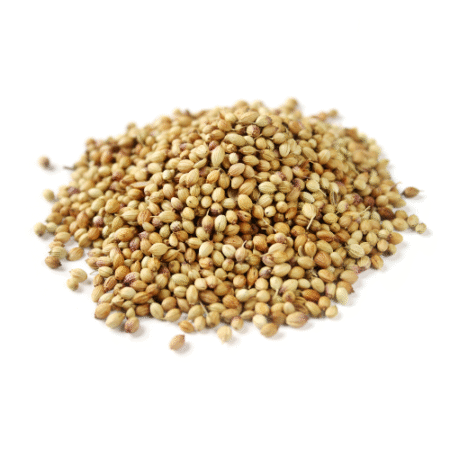 Coriander Seeds