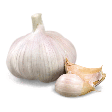 Garlic