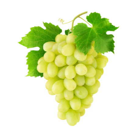 White Grapes