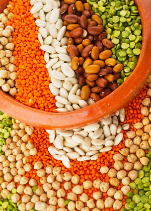 Legumes